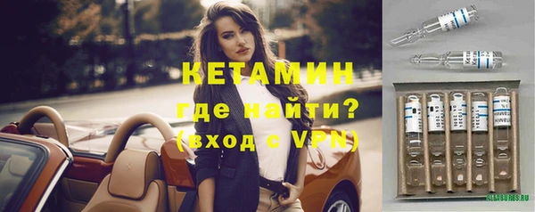 индика Вязьма