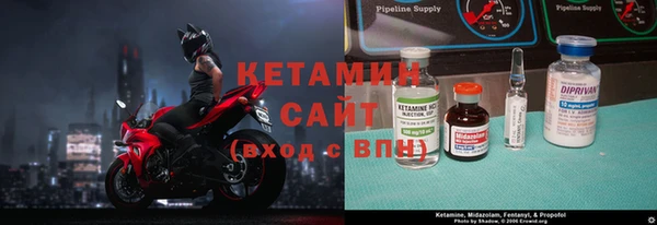 индика Вязьма