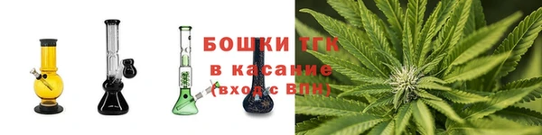 mdpv Вяземский