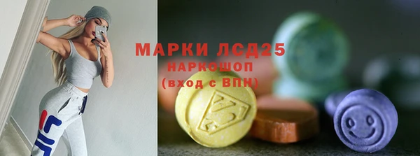 mdpv Вяземский