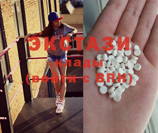 индика Вязьма
