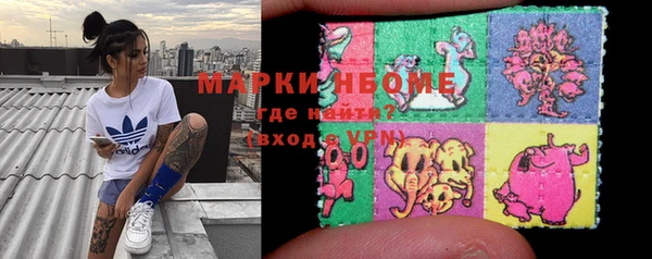 индика Вязьма