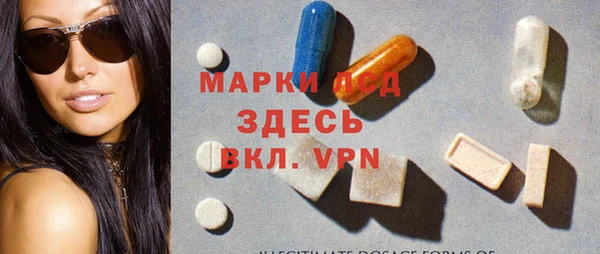 индика Вязьма