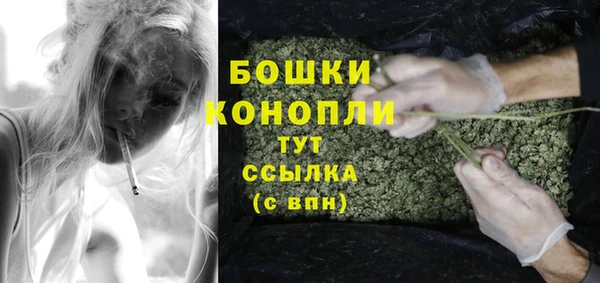 mdpv Вяземский